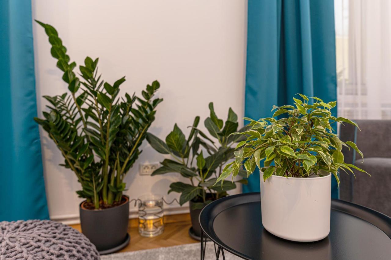 Garden Hideout - Central Apartment Brasov Bagian luar foto